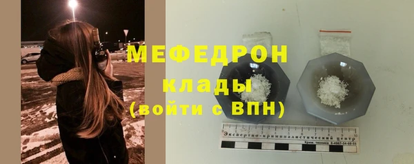 стаф Аркадак