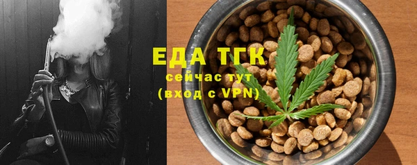 стаф Аркадак
