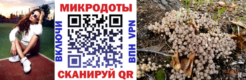 Галлюциногенные грибы Psilocybe  Суровикино 